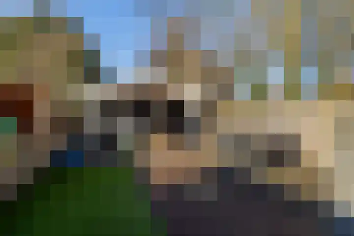 Zuider Kerkedijk 138 Rotterdam thumbnail 45