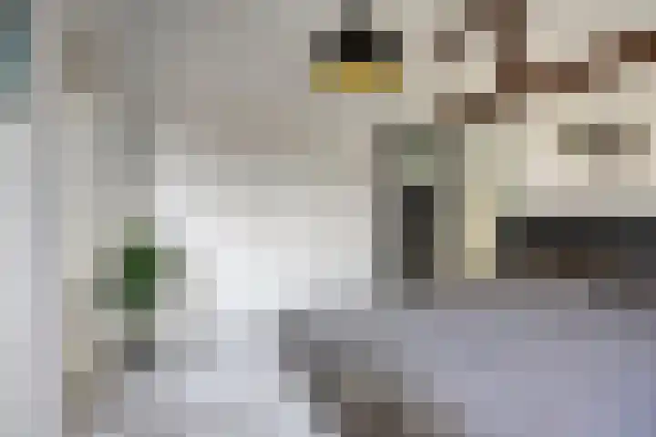 Zuider Kerkedijk 194 Rotterdam thumbnail 39