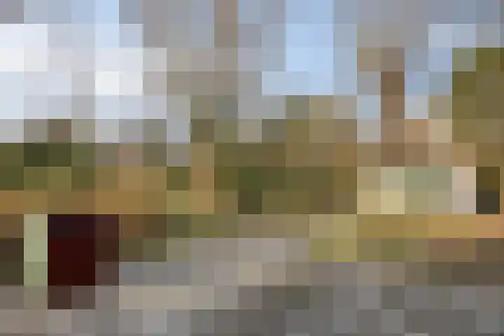 Zuider Kerkedijk 194 Rotterdam thumbnail 53