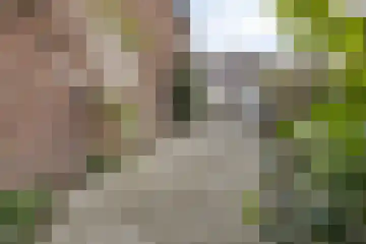 Zuider Kerkedijk 194 Rotterdam thumbnail 58
