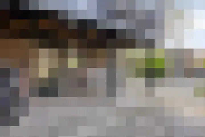 Zuider Kerkedijk 194 Rotterdam thumbnail 62