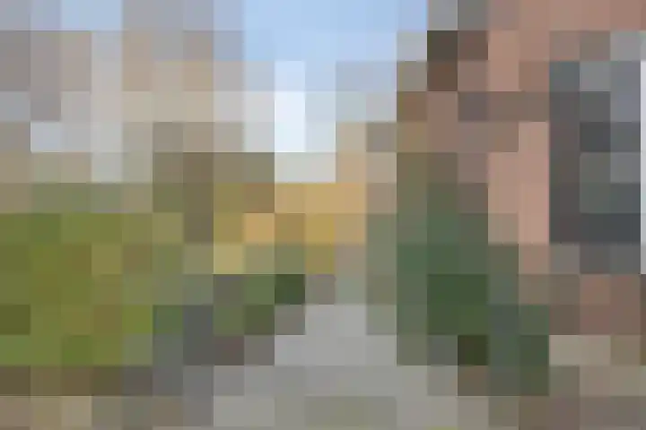 Zuider Kerkedijk 194 Rotterdam thumbnail 8