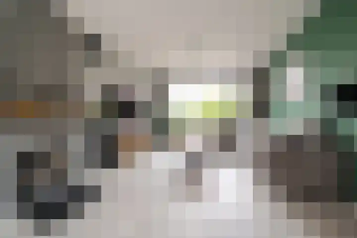 Zuider Kerkedijk 335 Rotterdam thumbnail 10