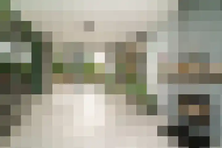 Zuider Kerkedijk 335 Rotterdam thumbnail 14