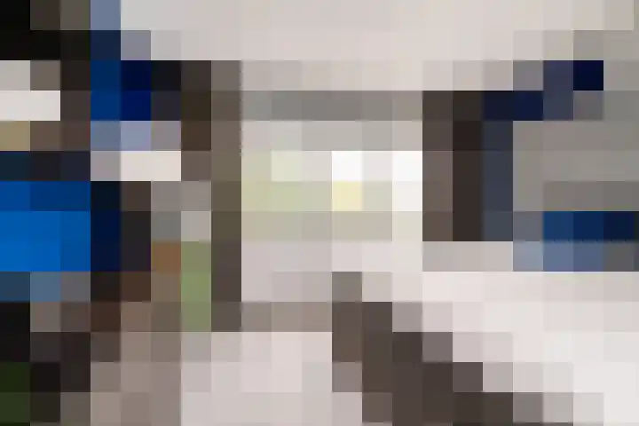 Zuider Kerkedijk 335 Rotterdam thumbnail 24