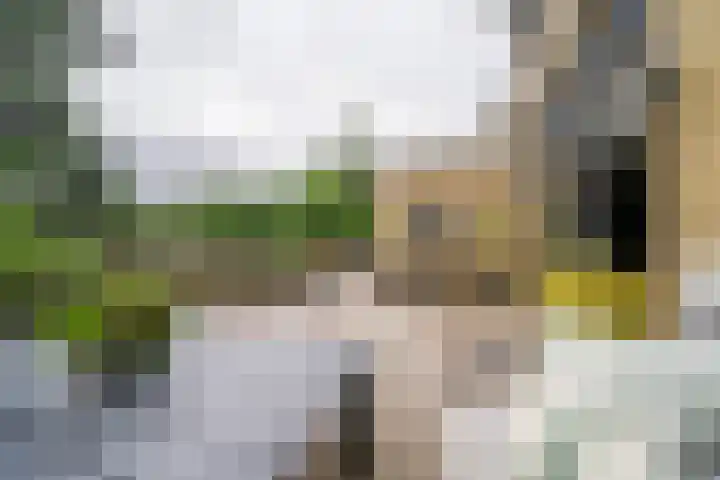 Zuider Kerkedijk 335 Rotterdam thumbnail 34