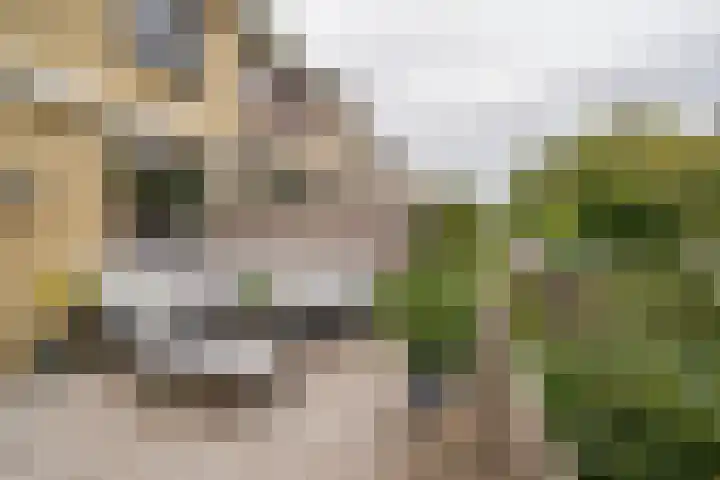 Zuider Kerkedijk 335 Rotterdam thumbnail 37