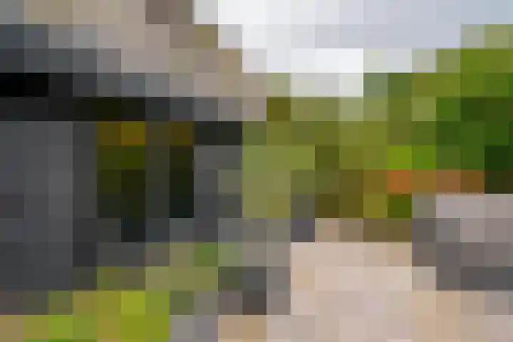 Zuider Kerkedijk 335 Rotterdam thumbnail 44