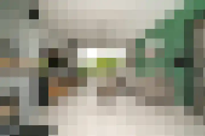 Zuider Kerkedijk 335 Rotterdam thumbnail 5