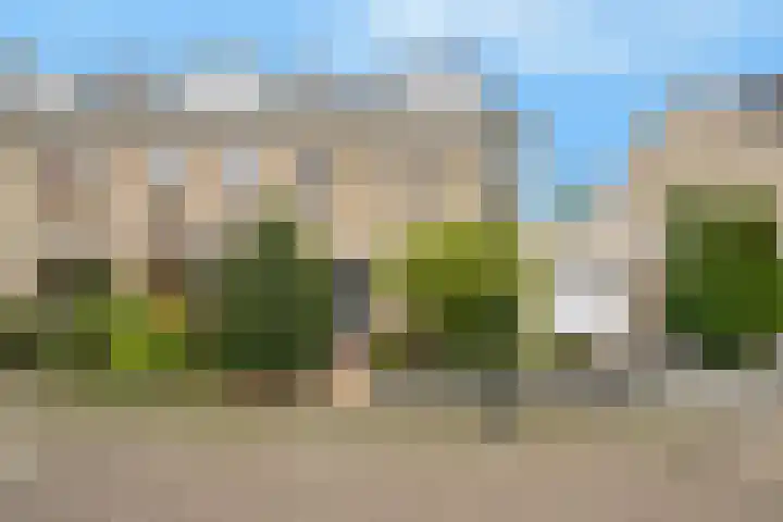 Zuider Kerkedijk 335 Rotterdam thumbnail 7