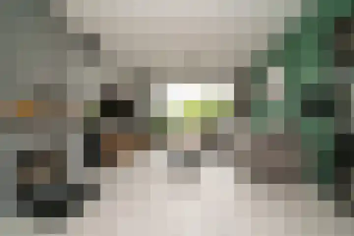 Zuider Kerkedijk 335 Rotterdam thumbnail 8