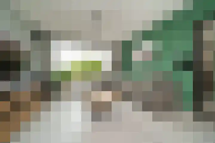 Zuider Kerkedijk 335 Rotterdam thumbnail 9