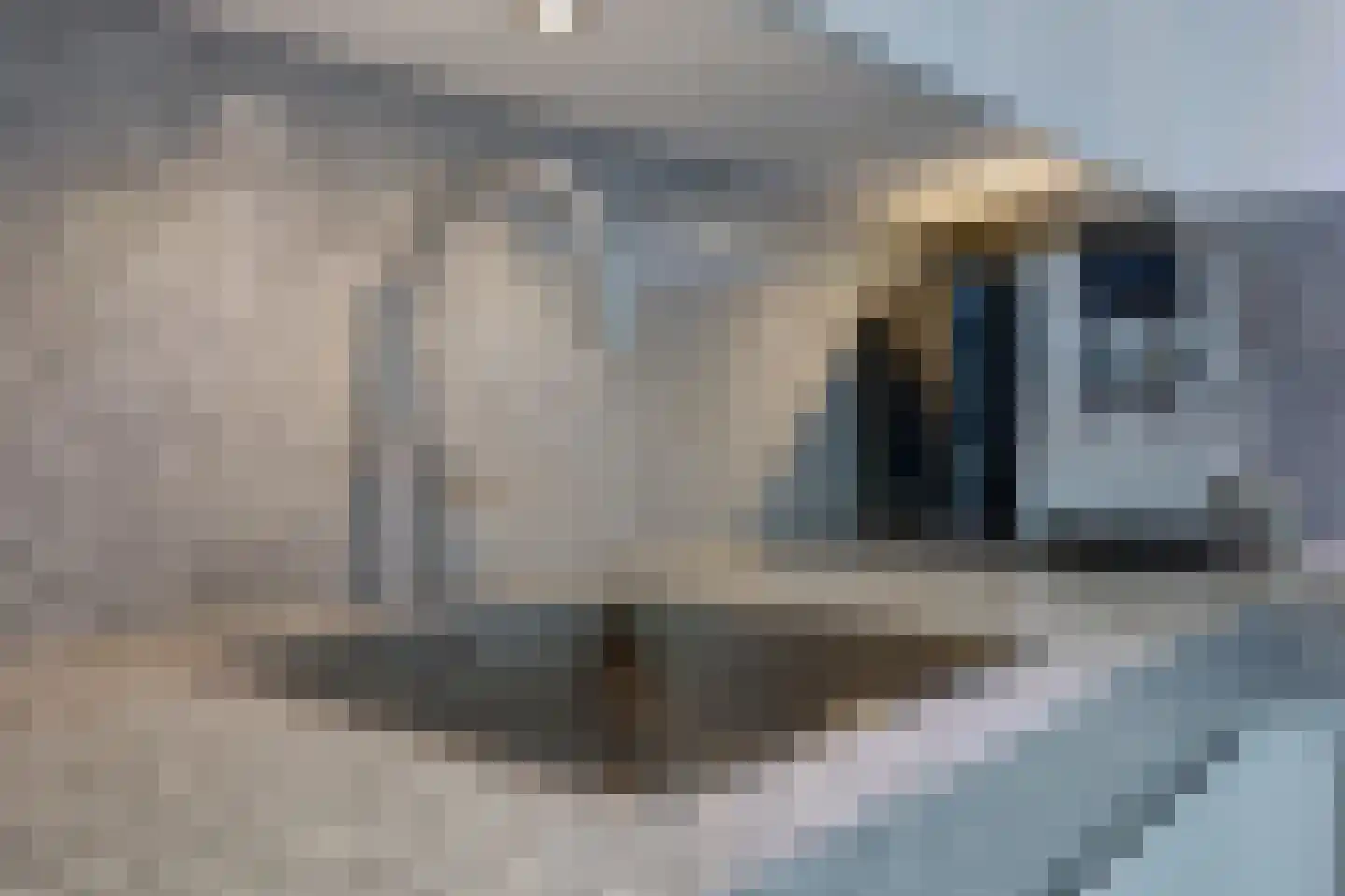 Zuider Kerkedijk 337 Rotterdam thumbnail 14