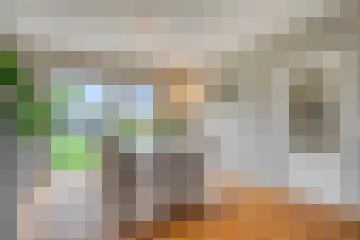 Zuider Kreekweg 3 Halsteren thumbnail 10