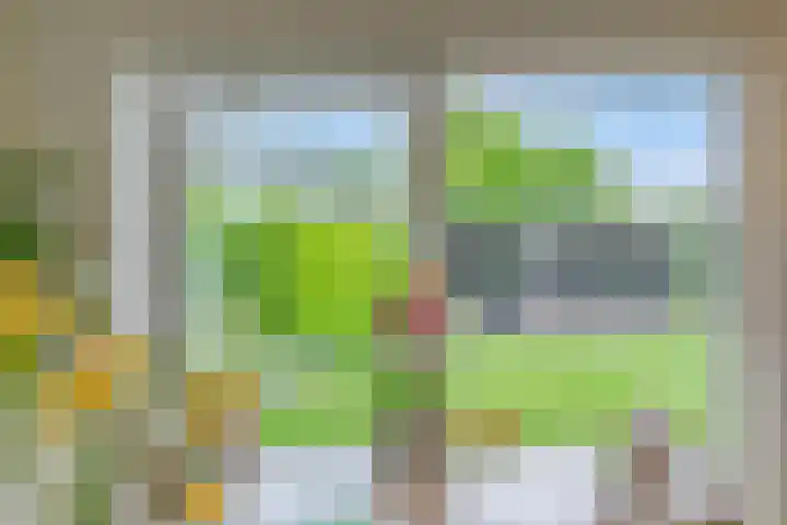 Zuider Kreekweg 3 Halsteren thumbnail 11