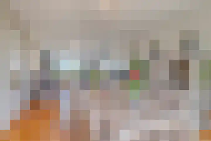 Zuider Kreekweg 3 Halsteren thumbnail 12