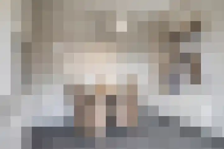 Zuider Kreekweg 3 Halsteren thumbnail 17