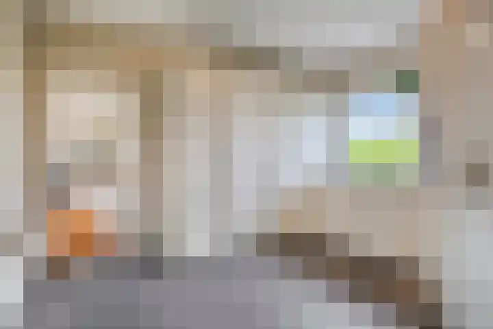 Zuider Kreekweg 3 Halsteren thumbnail 18