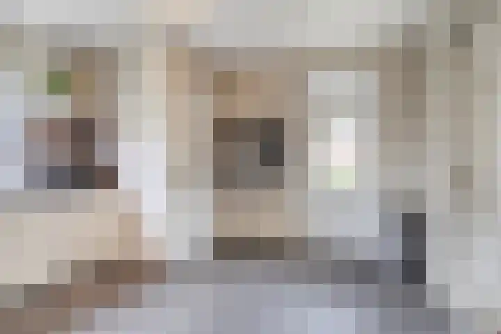 Zuider Kreekweg 3 Halsteren thumbnail 20