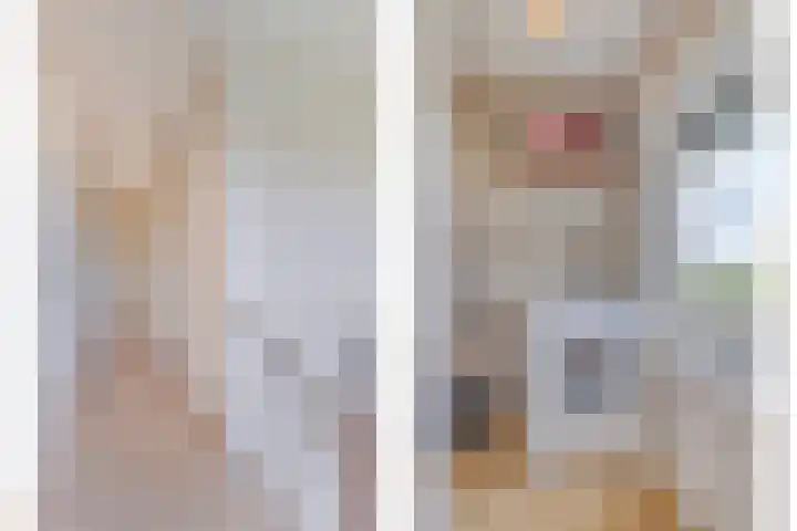 Zuider Kreekweg 3 Halsteren thumbnail 23