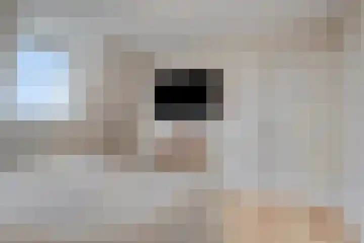 Zuider Kreekweg 3 Halsteren thumbnail 25