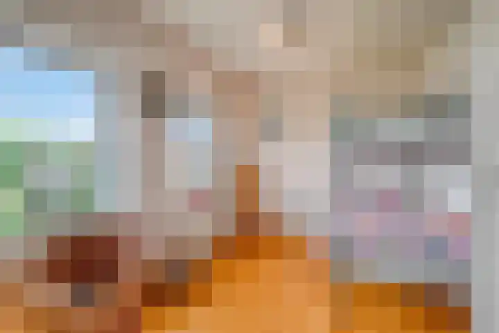 Zuider Kreekweg 3 Halsteren thumbnail 26