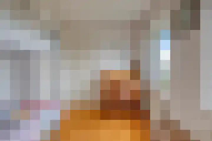 Zuider Kreekweg 3 Halsteren thumbnail 27