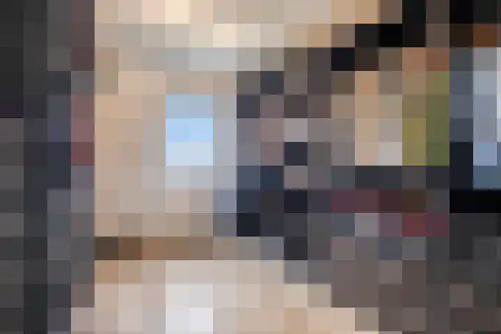 Zuider Kreekweg 3 Halsteren thumbnail 30