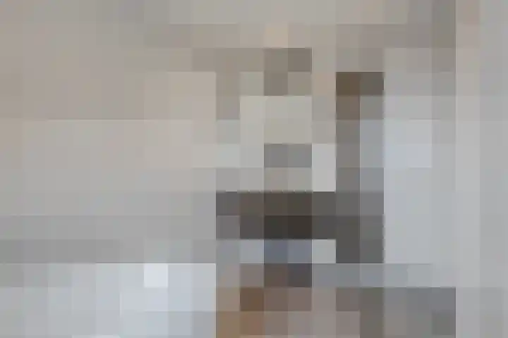 Zuider Kreekweg 3 Halsteren thumbnail 34