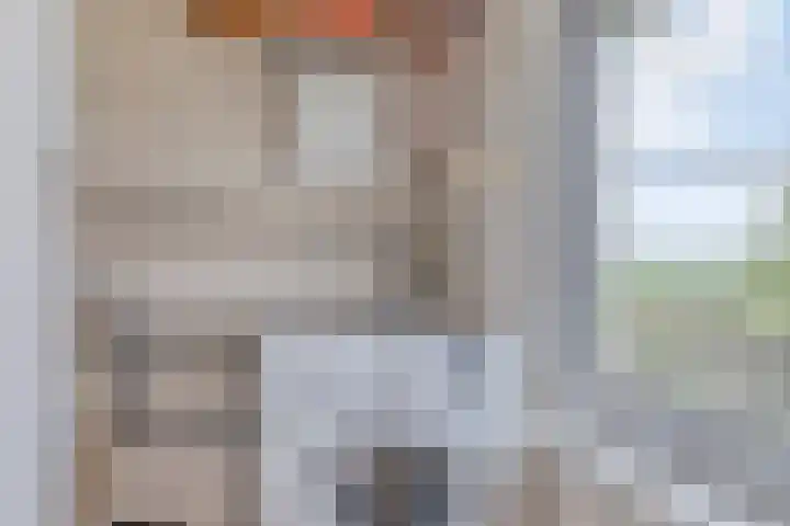 Zuider Kreekweg 3 Halsteren thumbnail 35
