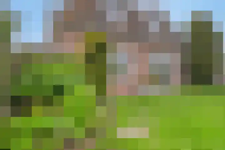 Zuider Kreekweg 3 Halsteren thumbnail 37