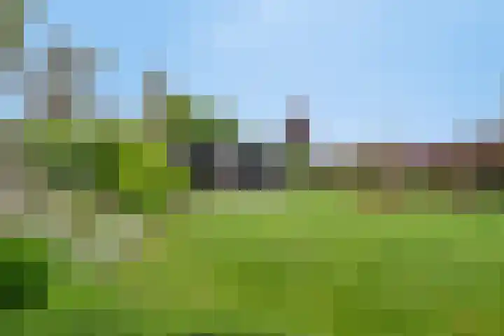 Zuider Kreekweg 3 Halsteren thumbnail 38