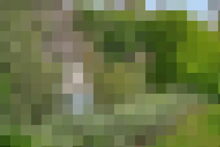 Zuider Kreekweg 3 Halsteren thumbnail 39