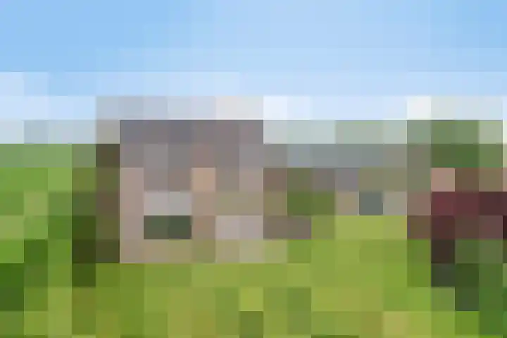 Zuider Kreekweg 3 Halsteren thumbnail 4
