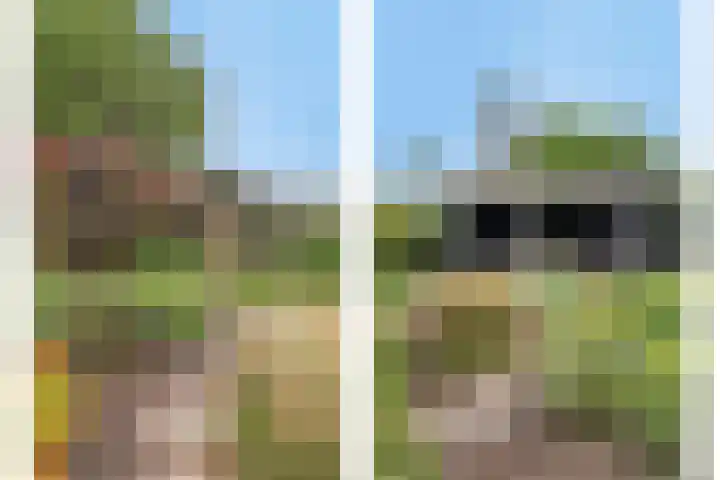 Zuider Kreekweg 3 Halsteren thumbnail 41
