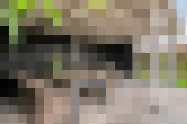 Zuider Kreekweg 3 Halsteren thumbnail 42