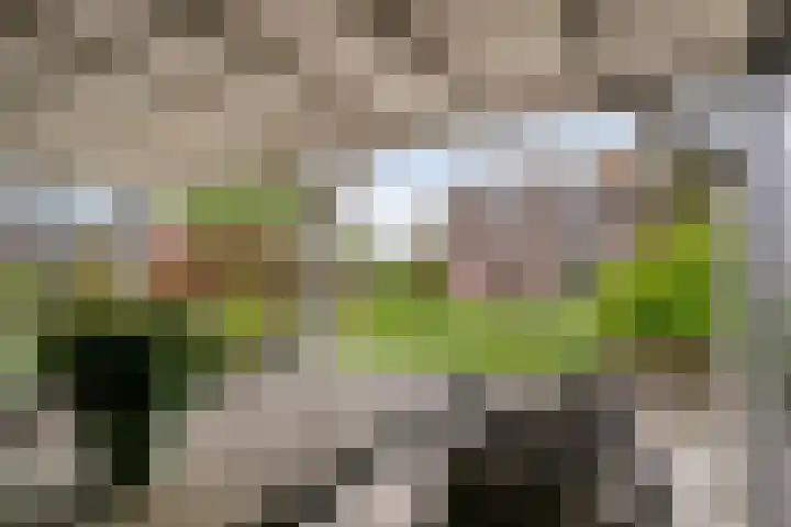 Zuider Kreekweg 3 Halsteren thumbnail 43