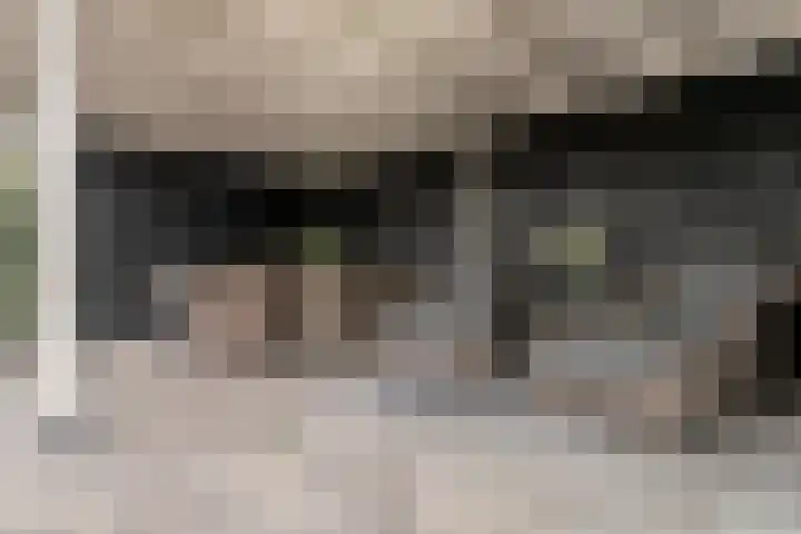 Zuider Kreekweg 3 Halsteren thumbnail 44
