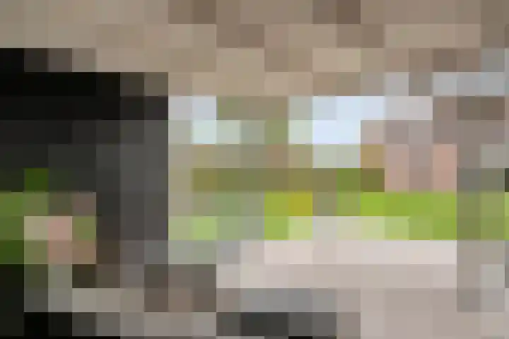 Zuider Kreekweg 3 Halsteren thumbnail 45