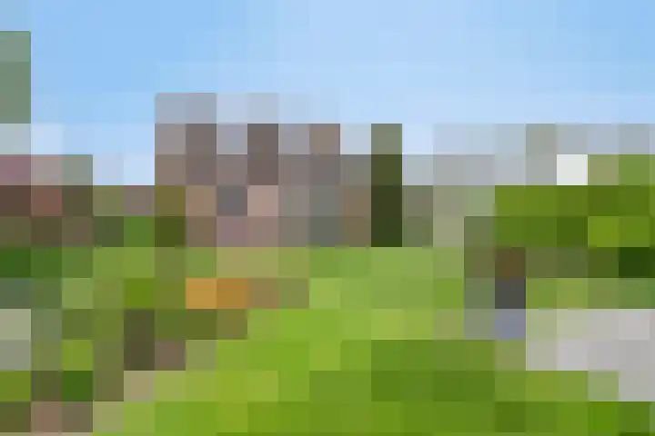 Zuider Kreekweg 3 Halsteren thumbnail 46