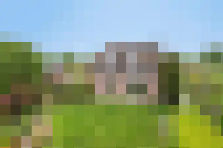 Zuider Kreekweg 3 Halsteren thumbnail 47