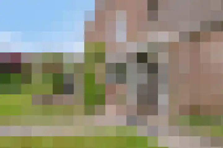 Zuider Kreekweg 3 Halsteren thumbnail 48