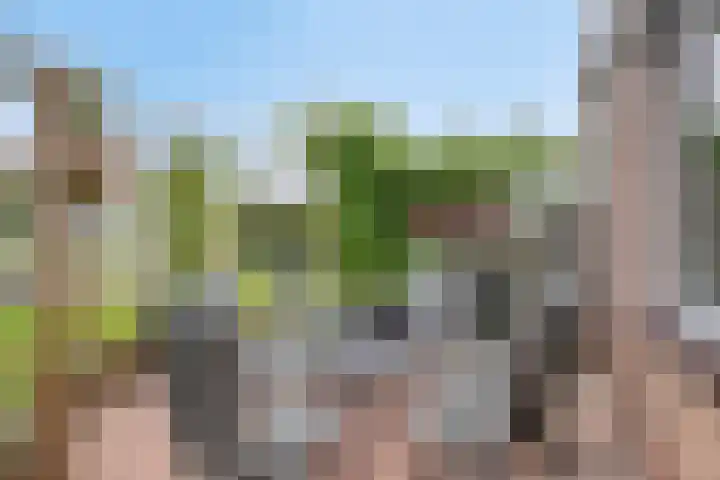 Zuider Kreekweg 3 Halsteren thumbnail 49