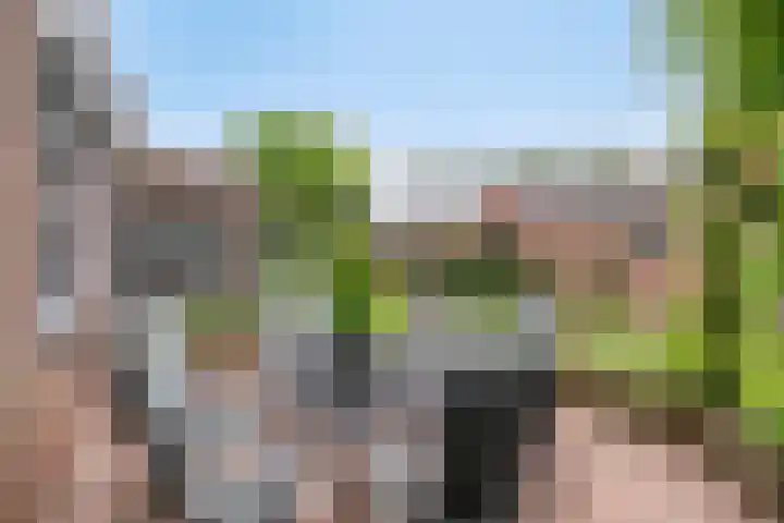 Zuider Kreekweg 3 Halsteren thumbnail 50