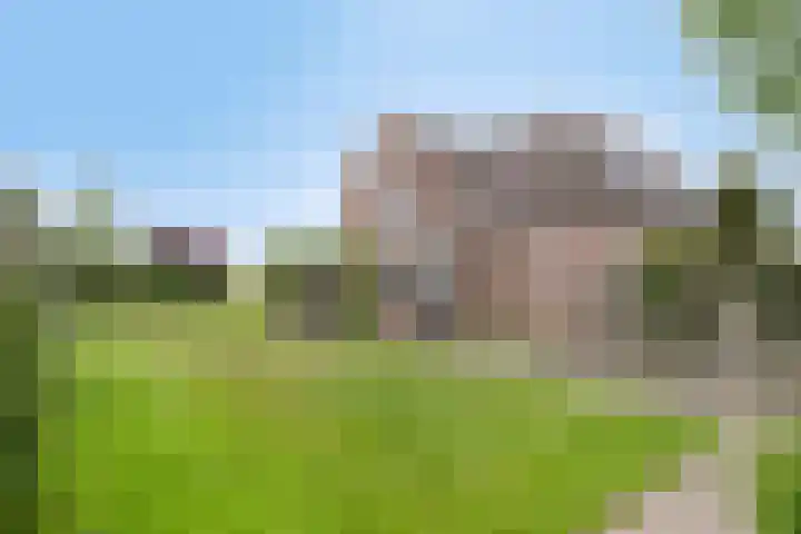 Zuider Kreekweg 3 Halsteren thumbnail 51