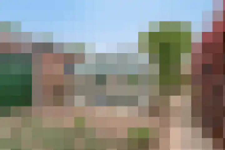 Zuider Kreekweg 3 Halsteren thumbnail 53