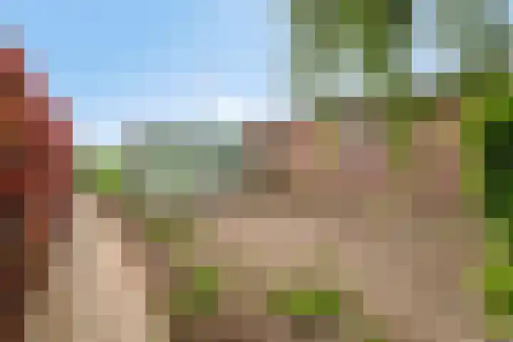 Zuider Kreekweg 3 Halsteren thumbnail 54