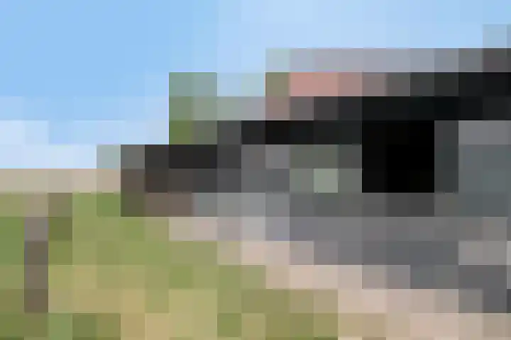 Zuider Kreekweg 3 Halsteren thumbnail 55