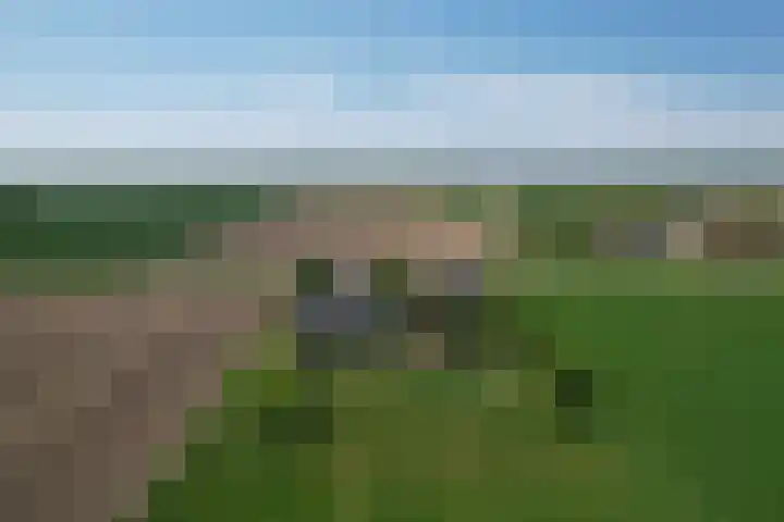 Zuider Kreekweg 3 Halsteren thumbnail 56