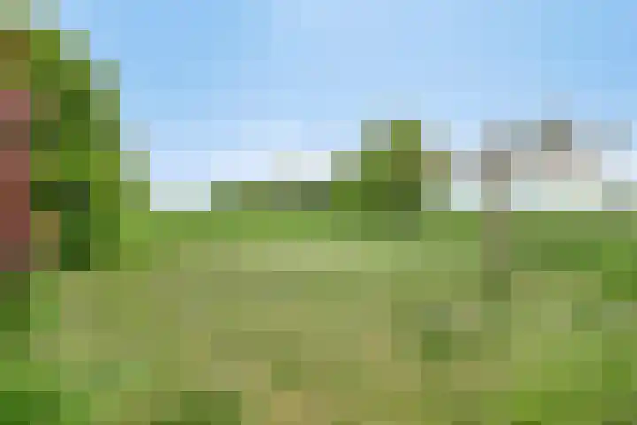 Zuider Kreekweg 3 Halsteren thumbnail 57